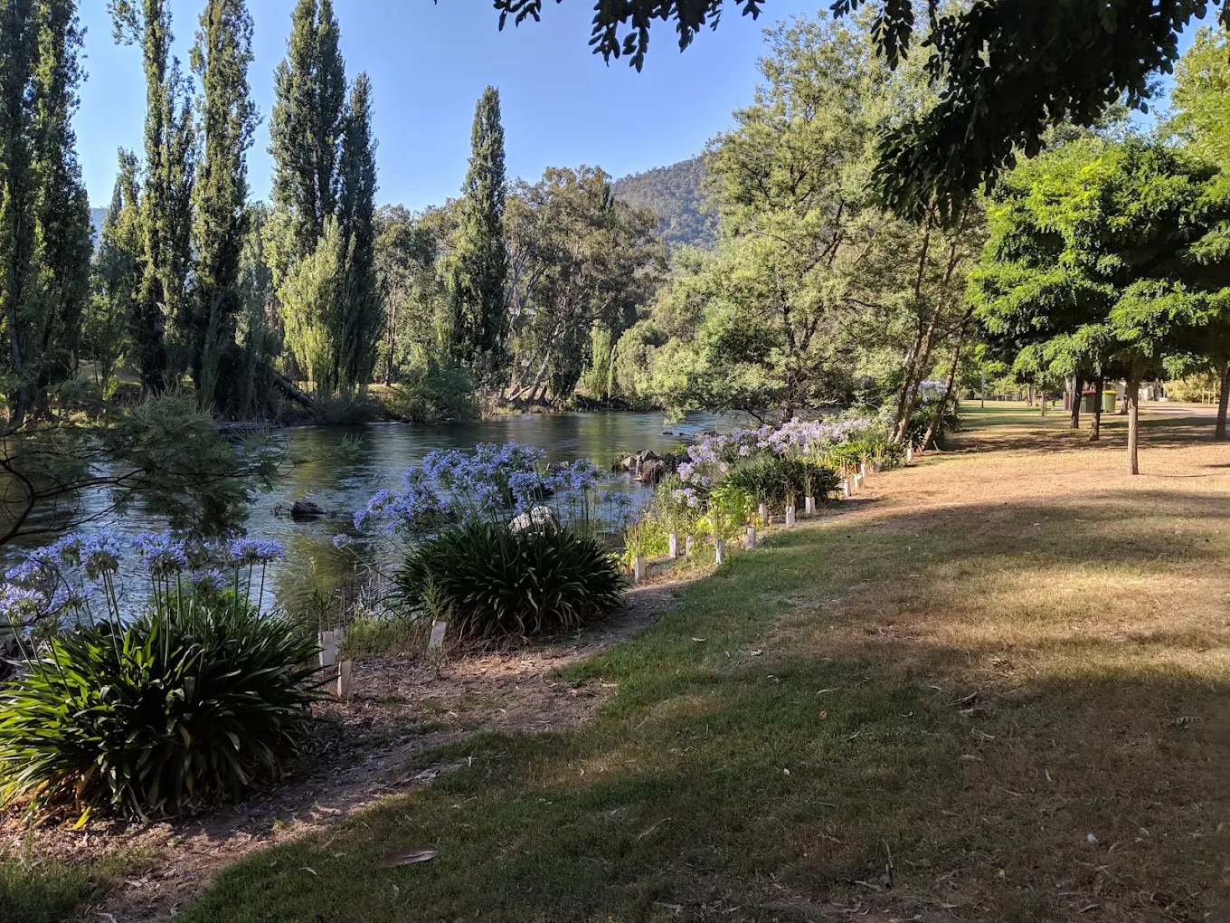 Mitta Mitta Caravan Park